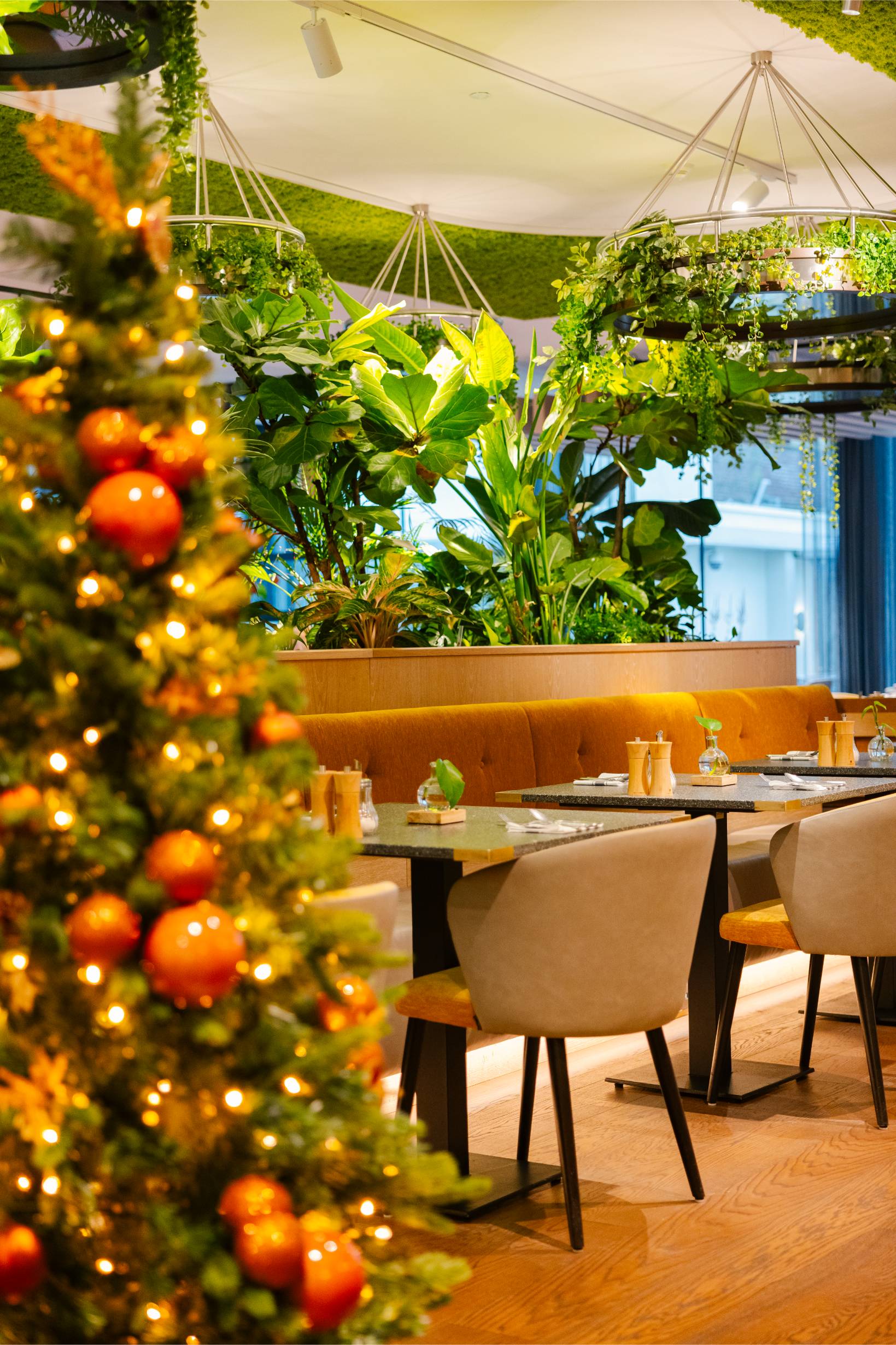 Celebrate the Season – book your event