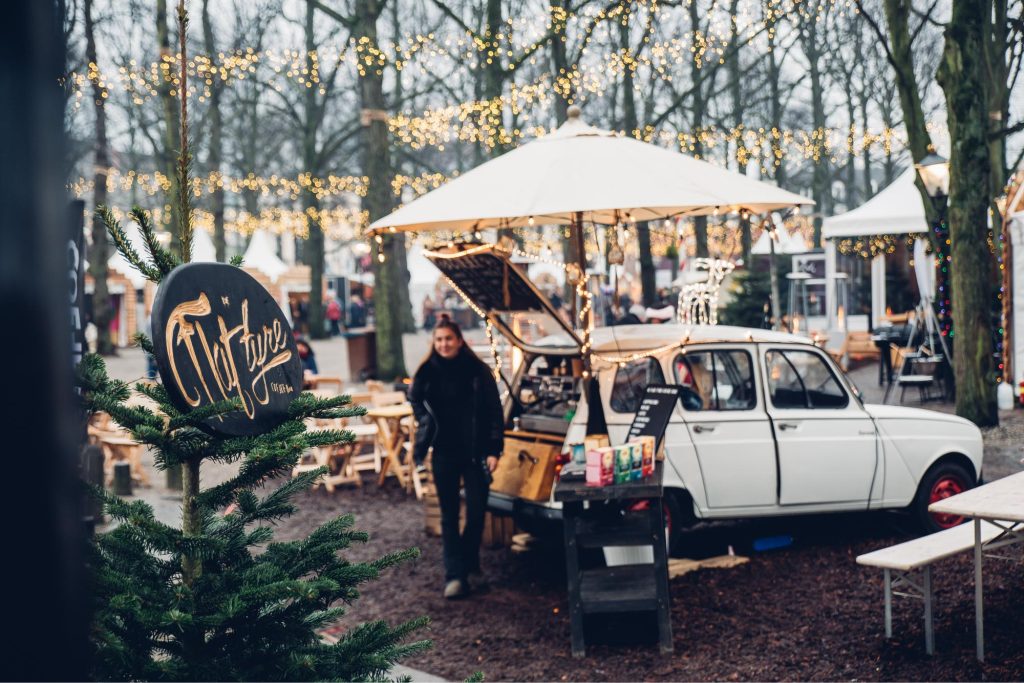 Royal winter in The Hague